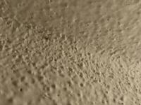 Malý pod 1 mm veľké chrobaciky na stene 