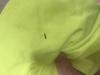 a853f974-541a-476a-a22f-adaeebd16361.jpeg